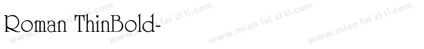 Roman ThinBold字体转换